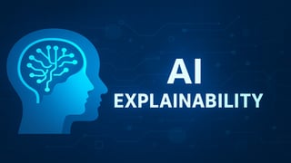 What is AI explainability or XAI