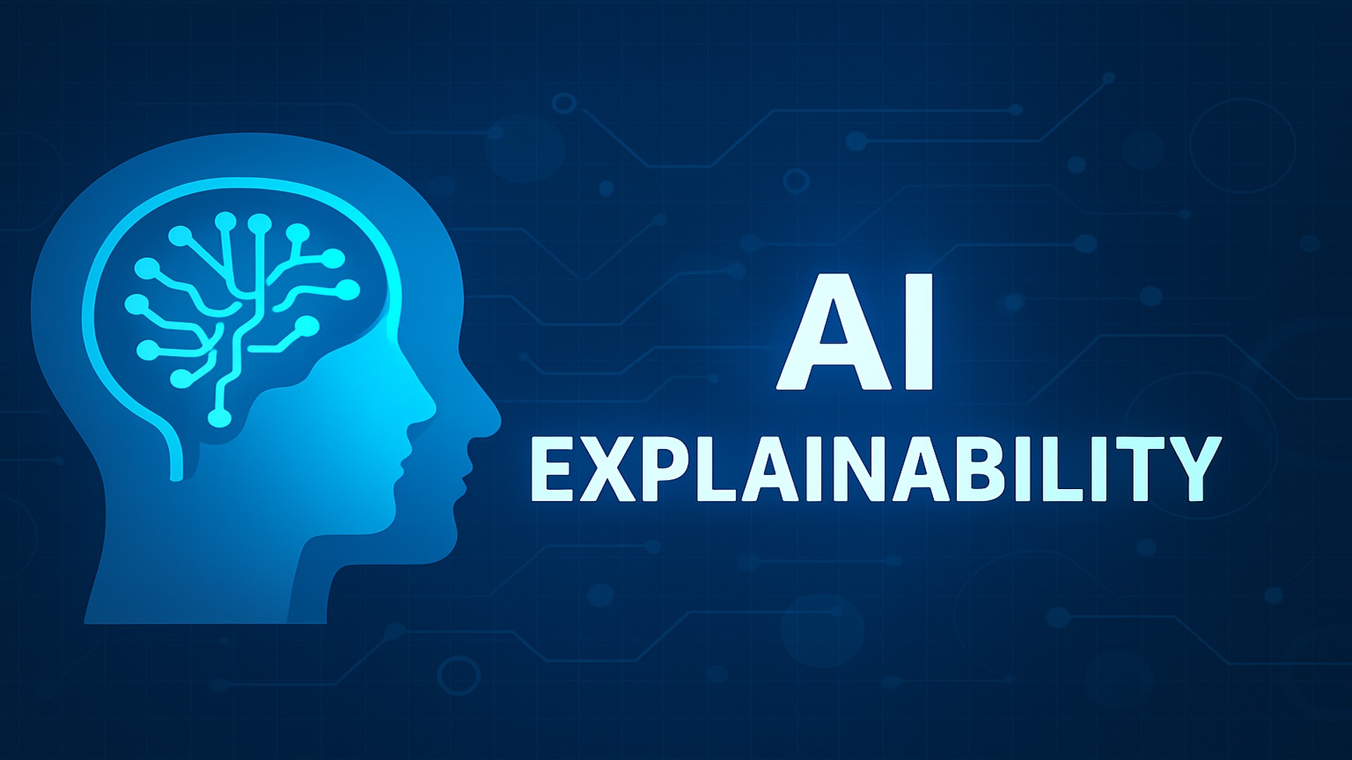 What is AI explainability or XAI