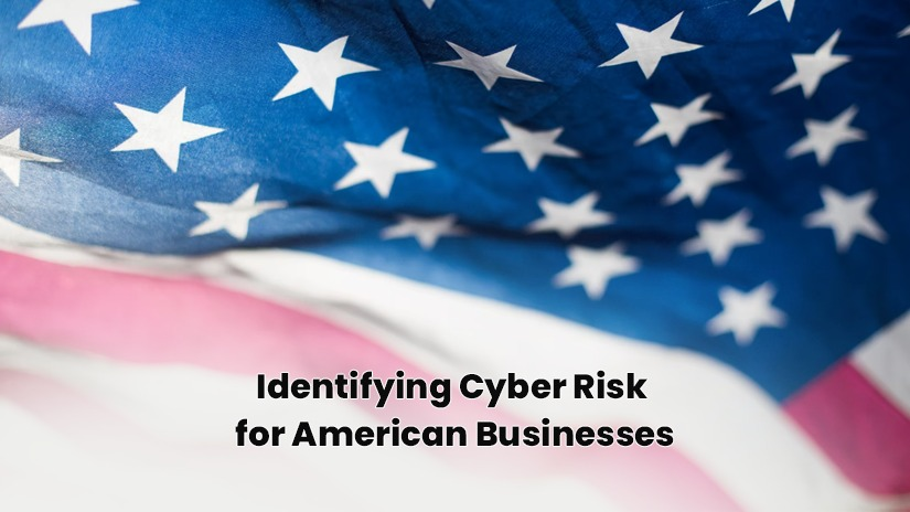 Cyber underwriting potential for American Businesses